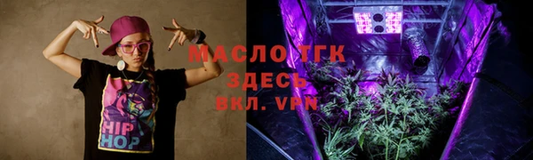 шишки Арсеньев
