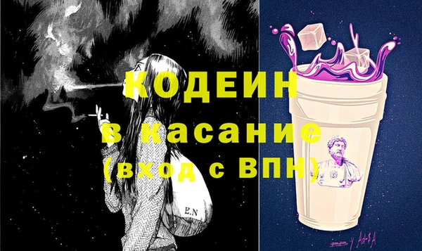 шишки Арсеньев