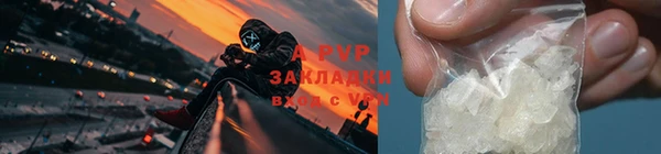 шишки Арсеньев