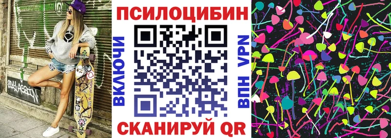 Псилоцибиновые грибы Psilocybe  Горячий Ключ 
