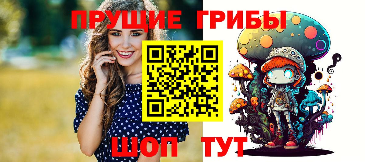 хочу   Горячий Ключ  Галлюциногенные грибы ЛСД  Галлюциногенные грибы Psilocybe 